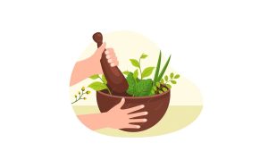 PPDM-untuk-Mewujudkan-Desa-Mandiri-Herbal-Berkelanjutan-di-Desa-Growong-Magelang-g